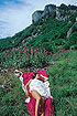 Appennino Reggiano - Pietra di Bismantova