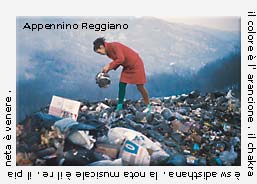 Discarica Appennino Reggiano , Annarella